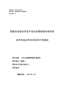 1500亩菠萝种植扩建项目可行性报告