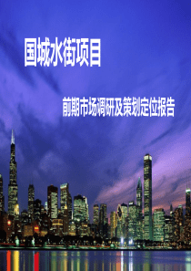 2014江苏南通国城水街项目前期调研及策划定位报告59页