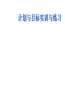 管理学基础与实训4计划与目标实训与练习