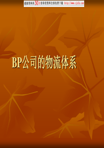 【精品文档】BP公司的物流体系