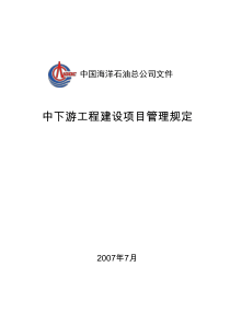 1总公司中下游项目管理规定XXXX年7月版