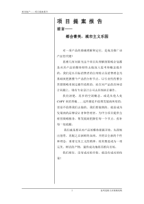 2.项目提案报告