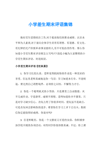 小学差生期末评语集锦