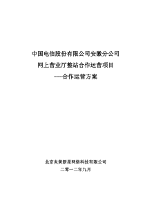 安徽电信网上营业厅整站合作运营方案