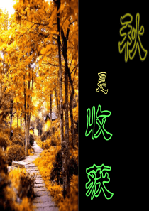 PPT模板下载 九华山旅游