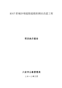 317项目执行报告1