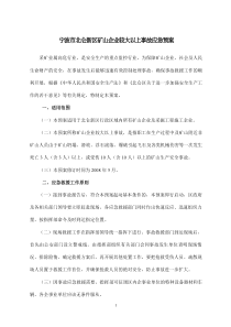 宁波市北仑新区矿山企业较大以上事故应急预案