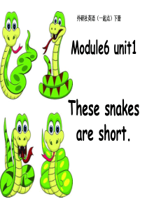 《These snakes are short》PPT课件