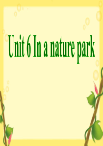 《In a nature park》PPT课件97