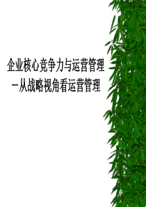 企业核心竞争力与运营管理