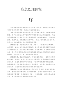 安徽某公司应急预案1(10项)p