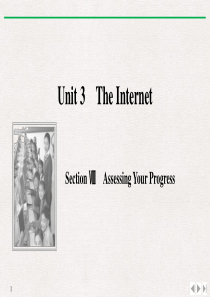 《The Internet》SectionⅧ PPT课件
