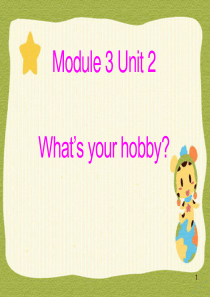 《Whats your hobby》PPT课件8