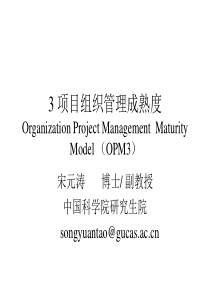 3组织级项目组织管理成熟度
