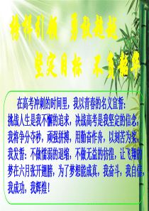 主题班会高三放寒假.ppt