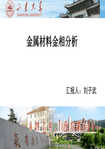 金属材料金相分析