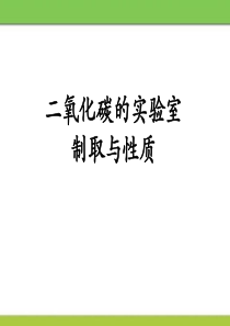 《二氧化碳的实验室制取与性质》PPT课件7