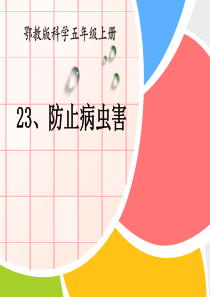 《防治病虫害》农田PPT课件