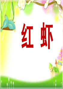 《红虾》PPT课件5