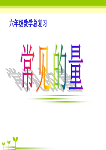 《常见的量》总复习PPT课件7