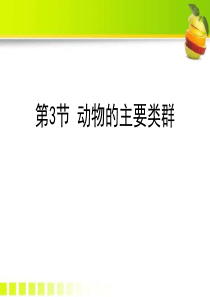 《动物的主要类群》PPT