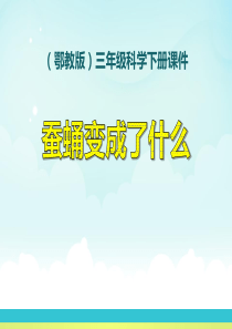 《蚕蛹变成了什么》PPT课件