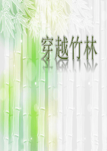 《穿越竹林》PPT课件