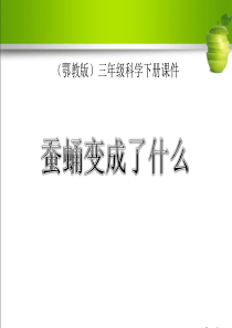 《蚕蛹变成了什么》PPT课件9