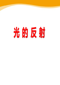 《光的反射》光现象PPT课件9