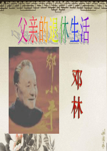 《父亲的退休生活》PPT课件