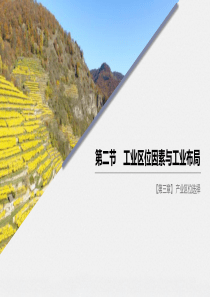 《工业区位因素与工业布局》产业区位选择PPT
