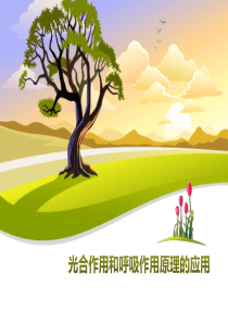 《光合作用和呼吸作用原理的应用》PPT