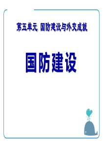 《国防建设》国防建设与外交成就PPT课件