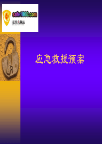 应急救援预案 (ppt)