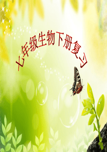人教版七年级下册生物总复习课件