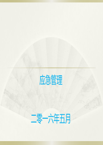 应急管理与应急预案体系