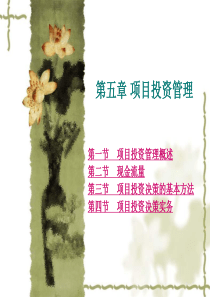 5项目投资管理(1)