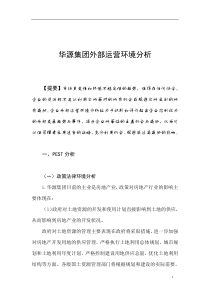 华源集团外部运营环境分析(1)