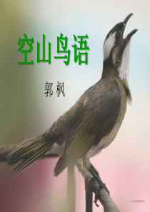 《空山鸟语》PPT课件
