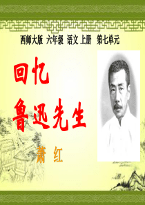 《回忆鲁迅先生》PPT课件8
