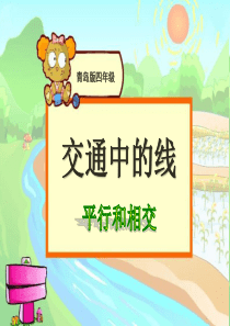 《交通中的线》PPT课件7