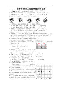 zmj-5206-46917