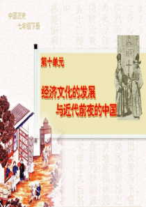 《经济发展与国力强盛》经济文化的发展与近代前夜的中国PPT课件8