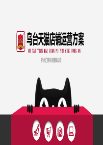 台乌旗舰店运营规划