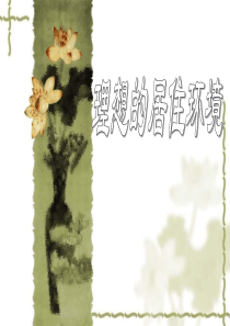 《理想的居住环境》PPT课件