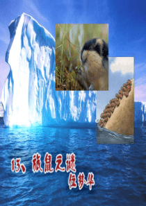 《旅鼠之谜》PPT课件77