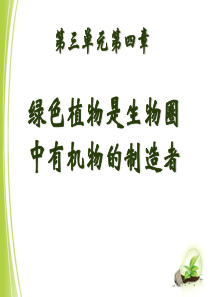 《绿色植物是生物圈中有机物的制造者》PPT课件9