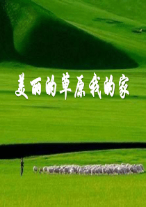 《美丽的草原我的家》PPT课件5