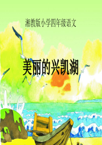 《美丽的兴凯湖》PPT课件7