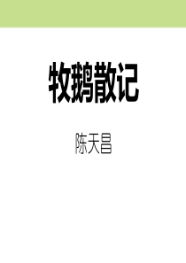 《牧鹅散记》PPT
